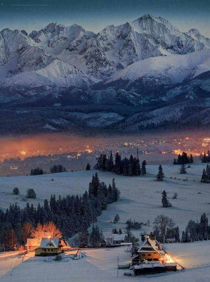 Willa 14 Zakopane Dış mekan fotoğraf