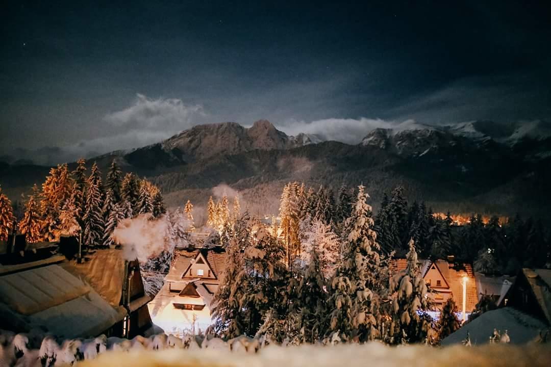 Willa 14 Zakopane Dış mekan fotoğraf