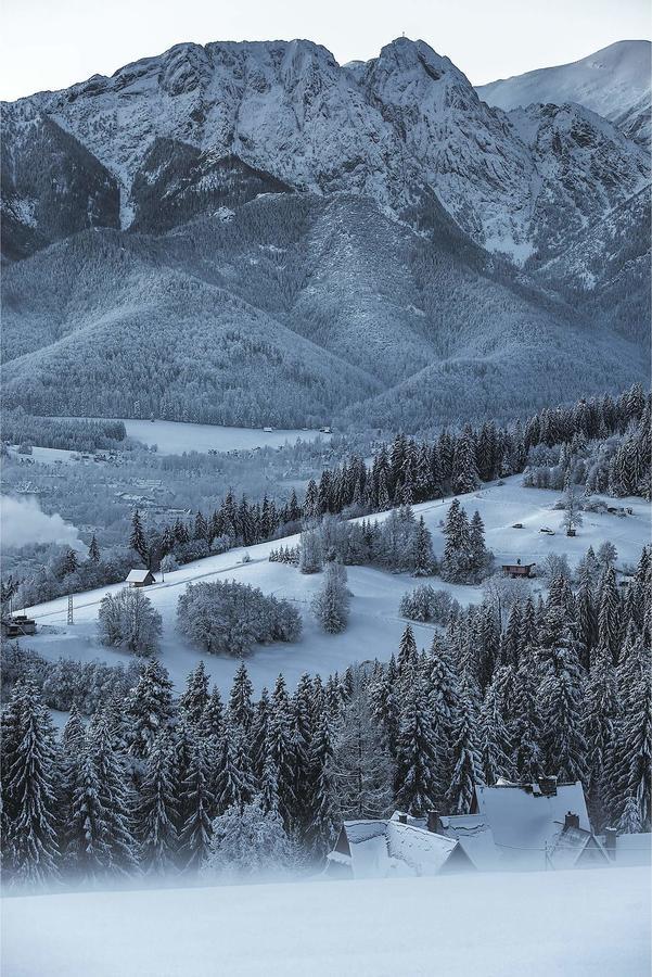 Willa 14 Zakopane Dış mekan fotoğraf